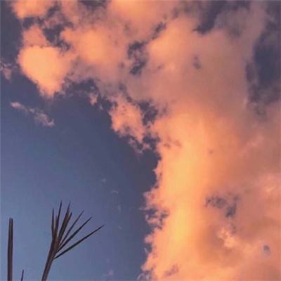 九游会AG手机app下载截图